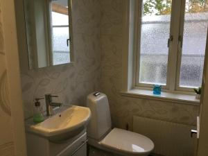 フディクスバルにあるStudio apartment centrally locatedの洗面台、トイレ、鏡のあるバスルーム