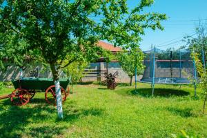 a tree and a cart in a yard with a trampoline at Summer House Christie in Krapets