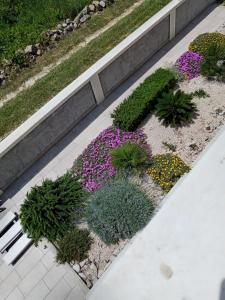 Zahrada ubytování Apartmani Sol Vlašići