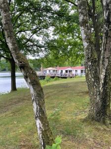 a group of trees with a house in the background at Lacuna VITA by Sonnevijver Residences in Lanaken