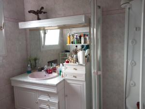 a bathroom with a sink and a shower with a mirror at Chambre dans maison individuelle avec rez-de-chaussée partagé - cuisine, salle, salon et salle de bains in Saint-Brieuc