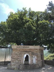 Gallery image of Qala Altı Villa in Qozbabalı