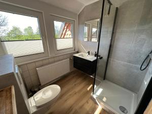 een badkamer met een douche, een toilet en een wastafel bij Altes Forsthaus Fischbach in Sankt Andreasberg +15 foto's