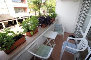 einen Balkon mit Stühlen und Pflanzen auf einem Gebäude in der Unterkunft Apartman Mak in Bihać