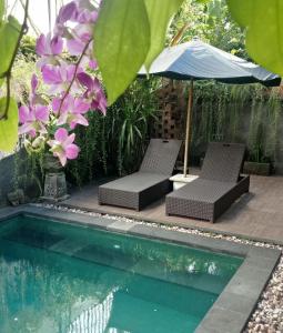 Πισίνα στο ή κοντά στο D'puja Home Stay and Spa