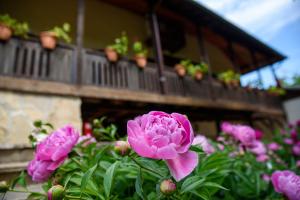 Fotografie z fotogalerie ubytování Къща за гости Българа v destinaci Vetren