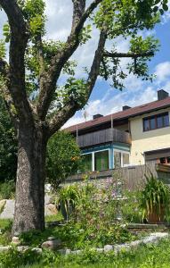 a house with a tree in the yard at Ferienwohnung Altes Zollhaus in Ering