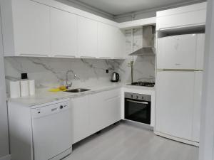 Kuchyň nebo kuchyňský kout v ubytování AhmetsS Home