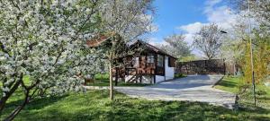 a house with a flowering tree in front of it at G&G Vacation Home in Cîlnic +17 photos