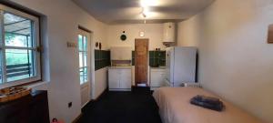 a room with a kitchen with a bed and a refrigerator at G&G Vacation Home in Cîlnic