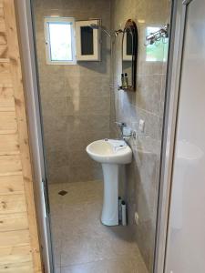 a bathroom with a sink and a shower at HOMELAND in Mestia