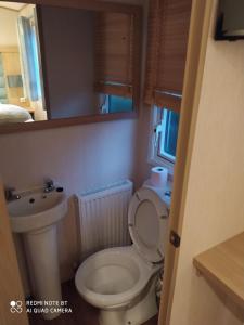 a small bathroom with a toilet and a sink at Mobil-home anglais 3 chambres in Pont-Aven