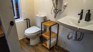 a bathroom with a toilet and a sink at Strazdu Māja in Jūrmala