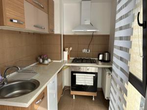 a small kitchen with a sink and a stove at Central Studio Bucur in Bucharest +65 photos