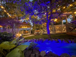 a house lit up at night with blue lights at Pensiunea Waldor in Bacău