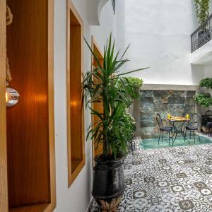 Bazén v ubytování MAISON SOLANEOS nebo v jeho okolí