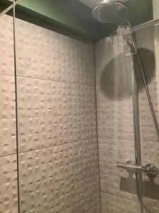 a shower with a glass door in a bathroom at Appartement Thout dichtbij zee in Ostend +21 photos