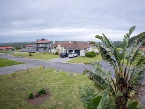 a palm tree in a yard next to a street at The Villa @ Balugha River Estate in Glengariff