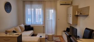 Una sala de estar con un sofá y un televisor. en Apartman JELENA, en Vranje