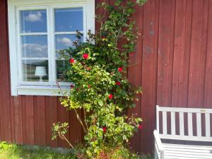 Zahrada ubytování Kapelludden Östra Öland