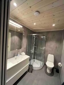 a bathroom with a shower and a toilet and a sink at Leilighet Overøye Hyttegrend in Stordal