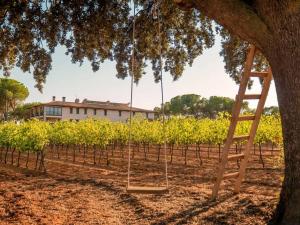 Zahrada ubytování Casa Rural en Bodega La posada de Vitis