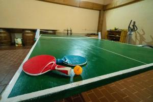 Stolní tenis v ubytování Casa Rural en Bodega La posada de Vitis nebo okolí