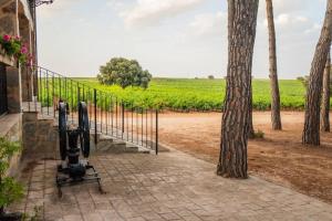 Zahrada ubytování Casa Rural en Bodega La posada de Vitis