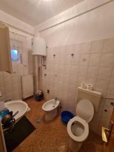 a bathroom with a toilet and a sink at Apartment Ivan in Sukošan