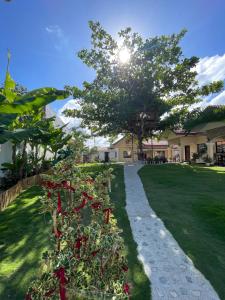 a garden with red flowers and a tree at The Shuim Dive Resort Moalboal in Moalboal +88 photos