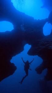 una persona che nuota nell'acqua di un acquario di The Shuim Dive Resort Moalboal a Moalboal