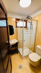 Gallery image of Pensiunea Waldor in Bacău