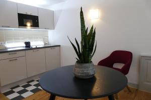 Küche/Küchenzeile in der Unterkunft Hotel Ottheinrich