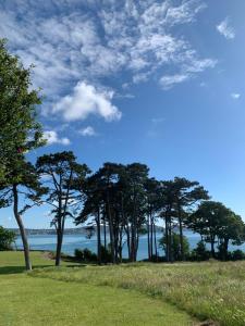 Gallery image of San Brelade in Paignton