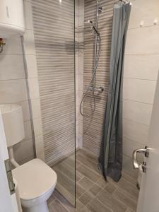 a bathroom with a shower and a toilet at Hiška 111 s kopalnimi kartami in Brežice +9 photos
