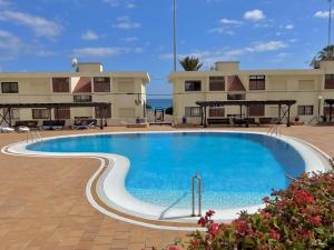 duży basen przed budynkiem w obiekcie Vera Mar 5A - Primera linea con Piscina y Parking w Aronie