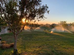 A garden outside Masseria Capece bed & breakfast