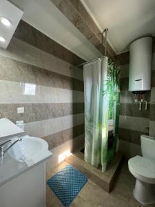 a bathroom with a shower with a toilet and a sink at Casa Lebăda in Jurilovca +59 photos