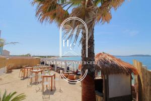 ein Restaurant am Strand mit einer Palme in der Unterkunft Villa prestigieuse « Bellezza » By HC in Carqueiranne