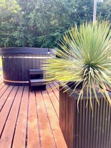 Ảnh trong thư viện ảnh của Osada Zator Family Resort & SPA ở Zator