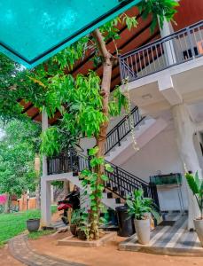 a staircase in a house with trees and plants at Yala Queens Resort in Tissamaharama