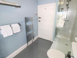 a bathroom with a toilet and a glass shower at Orielton Cottage in Dinas +21 photos