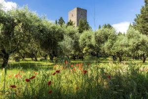 Zahrada ubytování Torre dei Belforti