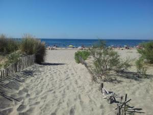 Naturlandskabet i nærheden af lejligheden + 7 billeder