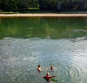 Gallery image of Vila Vitezov Mir - Drina in Vrhpolje +25 photos