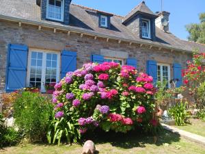 a house with a large bush of flowers in front of it at Ty Glaz in Kerbors