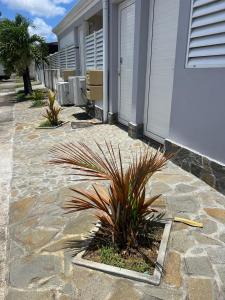 a stone walkway next to a building with a plant at Le Relais des Voyageurs in Fort-de-France