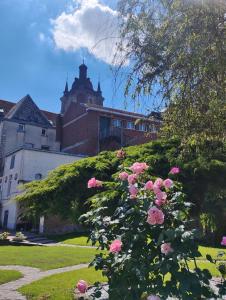 Zahrada ubytování Le relais Napoléon