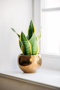 Foto dalla galleria di Kichinger Hof 37 a Kröv