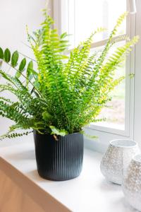 Foto dalla galleria di Kichinger Hof 37 a Kröv Altre 22 foto